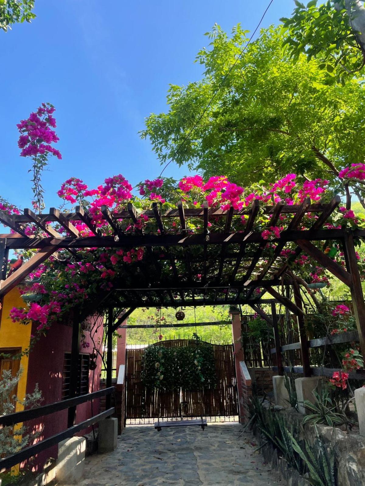 Hostal La Casa De Felipe Taganga Luaran gambar